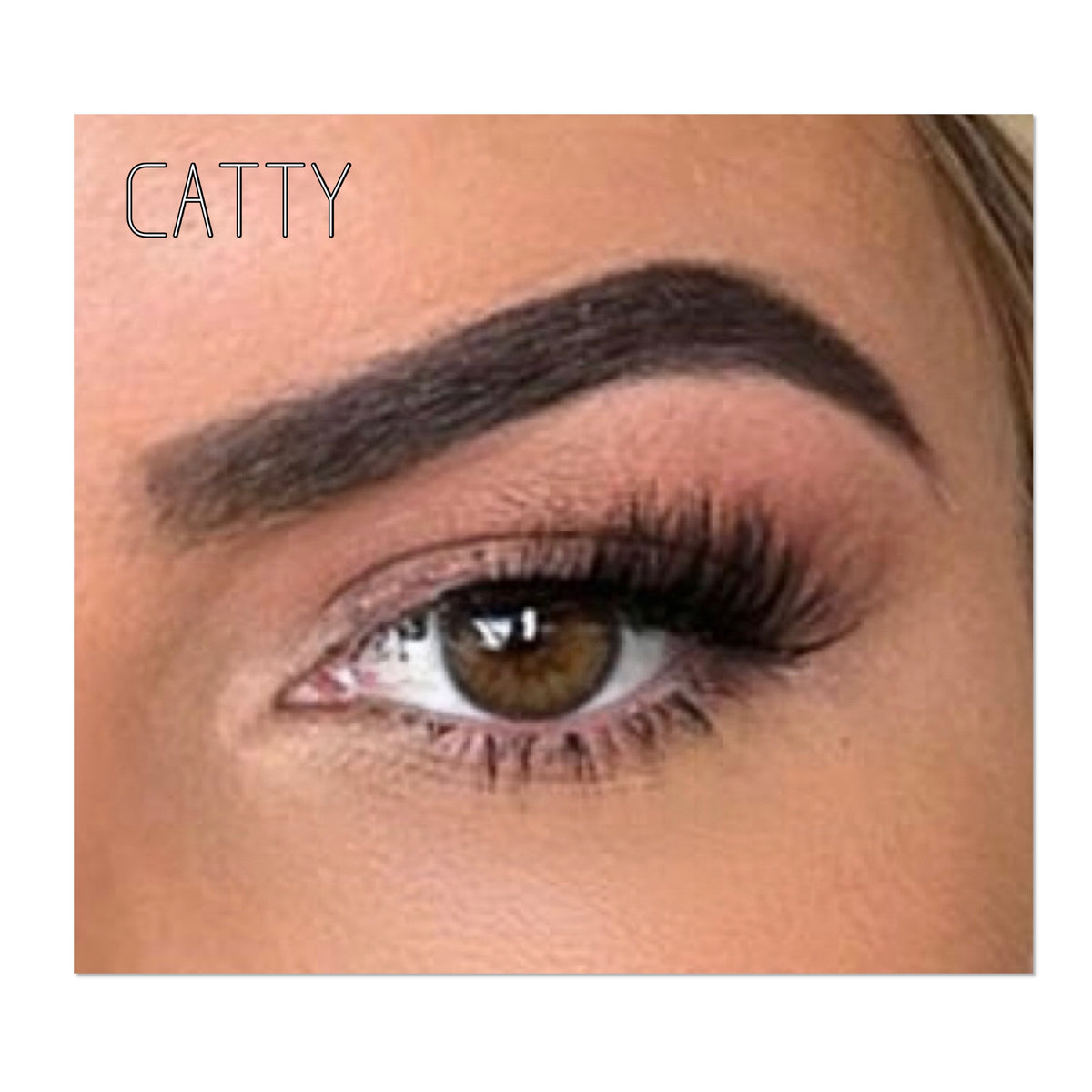 CATTY