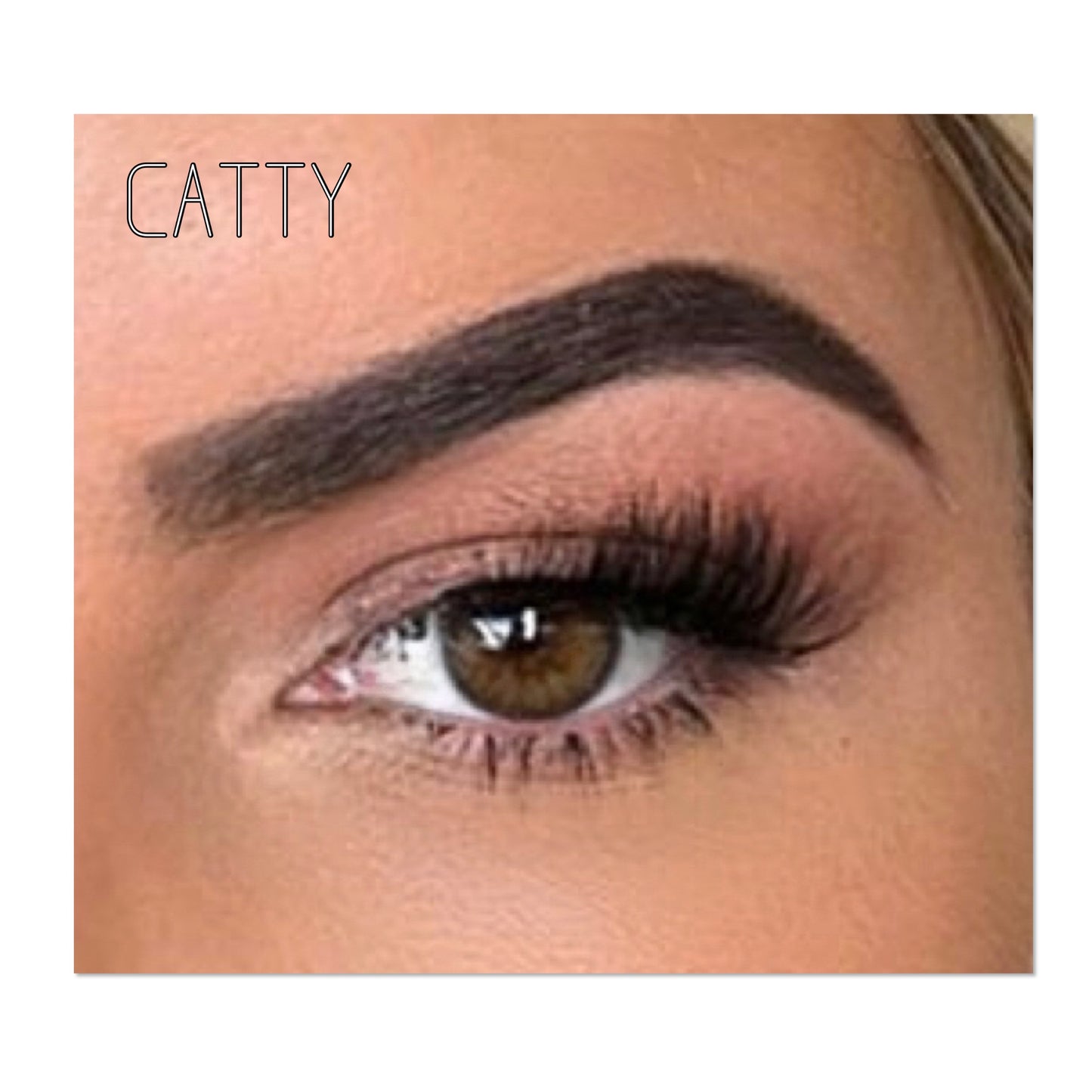 CATTY